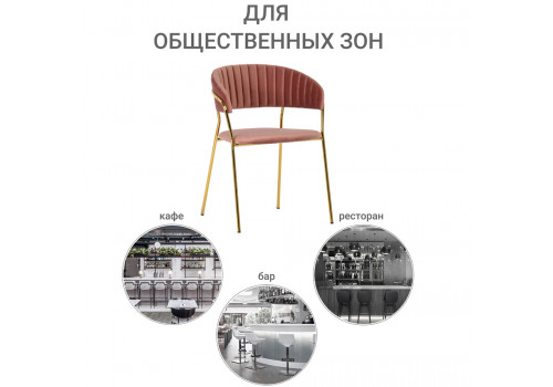 Стул Turin пудровый с золотыми ножками