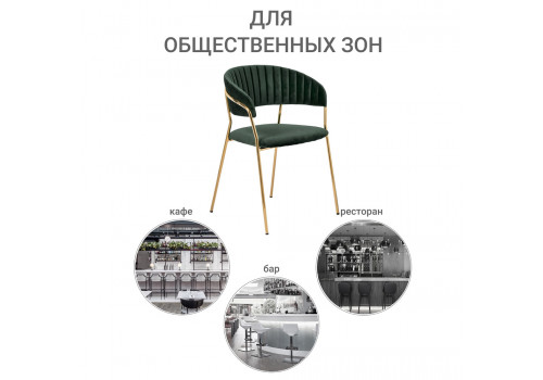 Стул Turin зеленый с золотыми ножками