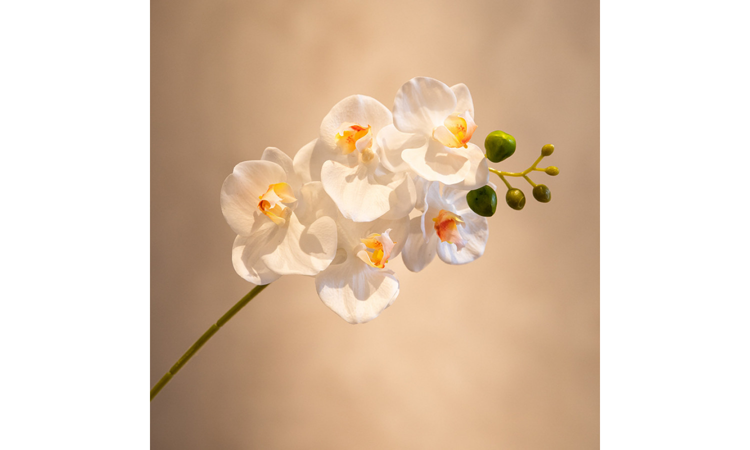 Ветка орхидеи, IST-038, 45 см, белый